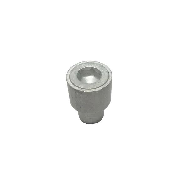 Anode